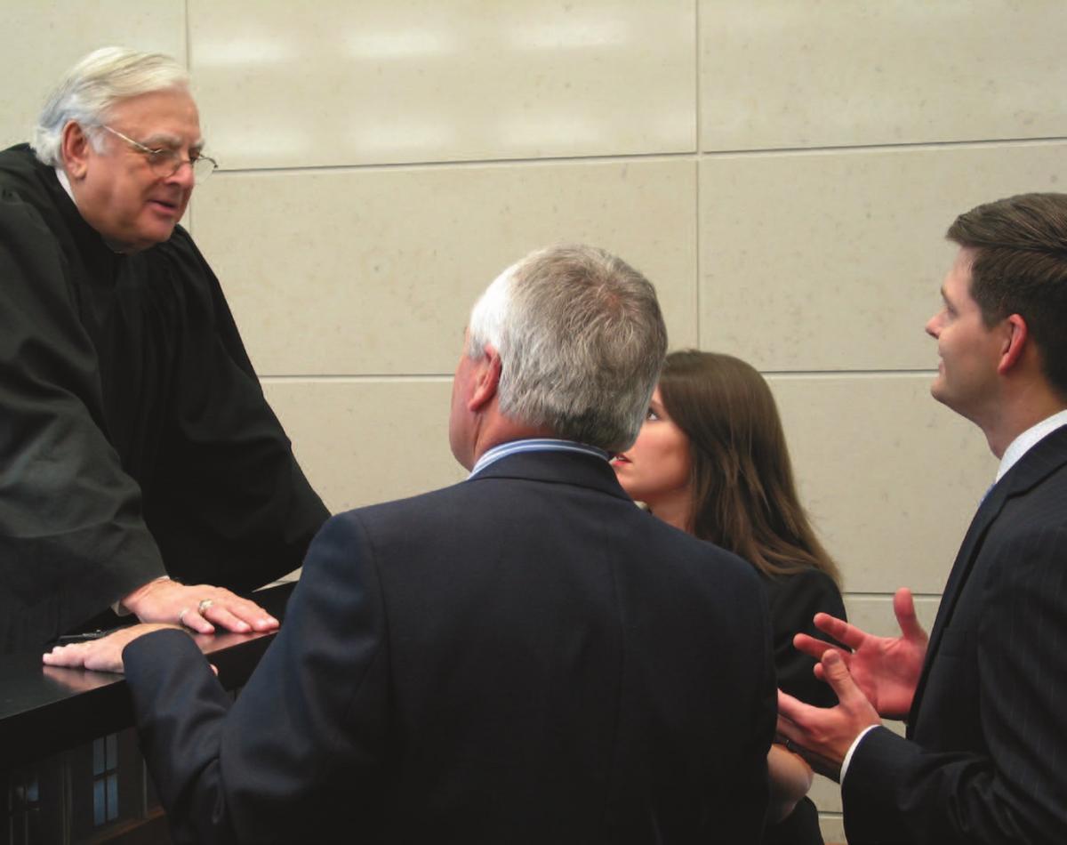 Lawyers make opening statements and present witnesses before the court.