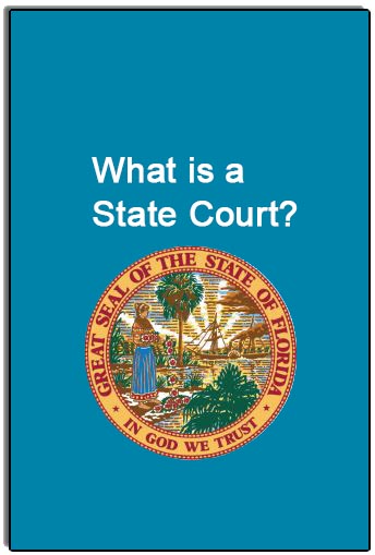 What is a State Court?