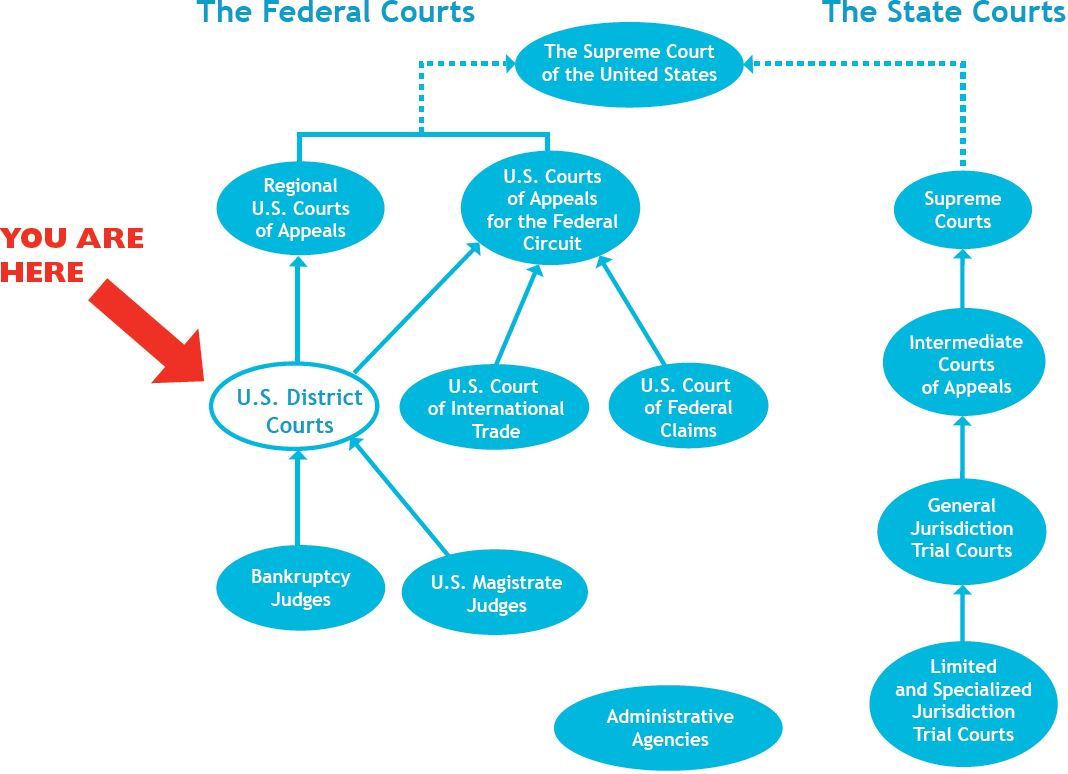 A flowchart describing the jurisdiction of federal and state courts. 