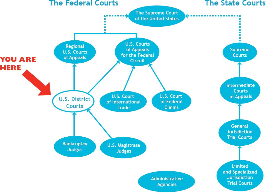 Supreme Court Flow Chart