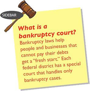 What is a bankruptcy court? Bankruptcy laws help people and businesses that cannot pay their debts get a "fresh start." Each federal district has a special court that handles only bankruptcy cases.