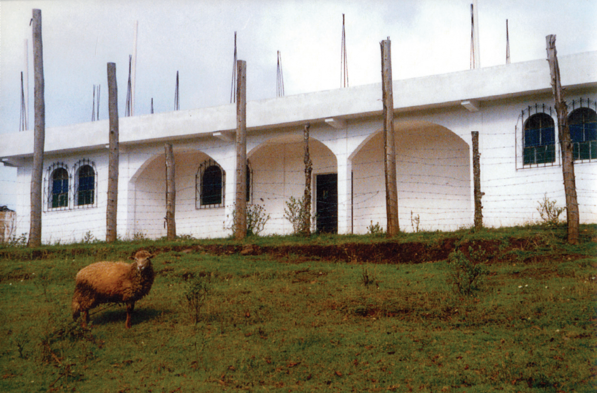 A sheep on a hill next to a house